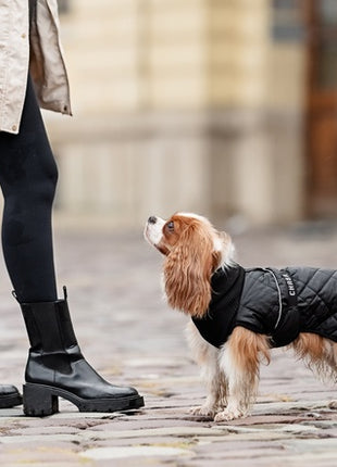 Chaba Kubrak Regulowany Chic 2XL black