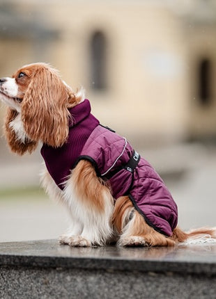 Chaba Kubrak Regulowany Chic XL burgundy