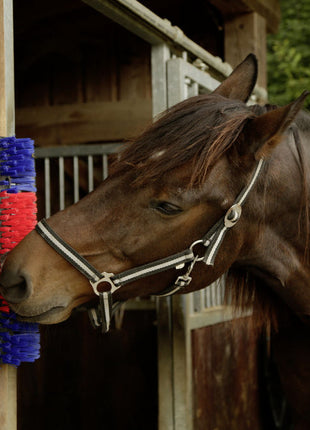 Borstel voor Paard, Rund, Geit