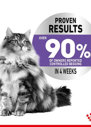 Royal Canin Appetite Control Care karma mokra w sosie dla kotów dorosłych, domagających się jedzenia saszetka 85g