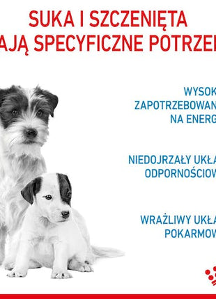 Royal Canin Mini Starter Mother&Babydog karma sucha dla szczeniąt do 2 miesiąca i suk karmiących ras małych 4kg