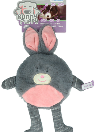 Bunny Puppy Flat Rabbit