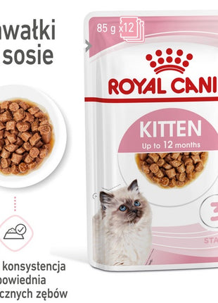 Royal Canin Feline Kitten Multipack karma mokra dla kociąt do 12 miesiąca życia saszetki 4x85g