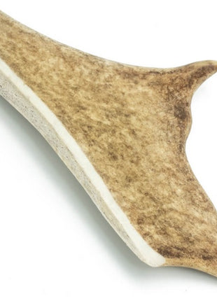 4DOGS Gryzak z poroża daniela M