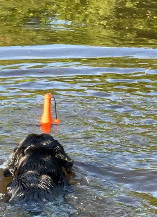 Dog Comets Bobber Groen