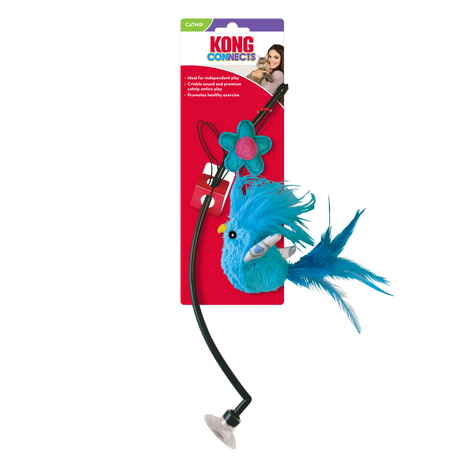 KONG Cat Connects: Window Teaser