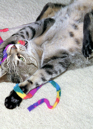 Cat Dancer Cat Charmer