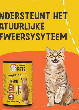 Excellent Pets L-Lysine