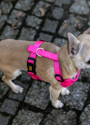 Dingo Szelki bezuciskowe z dwupaskową regulacją S różowe