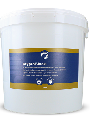 Excellent Crypto Block