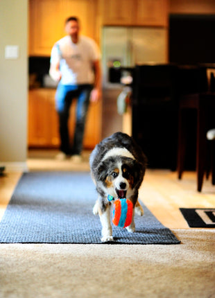 Chuckit! Indoor Roller