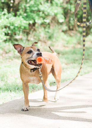 Chuckit! Air Fetch Stick