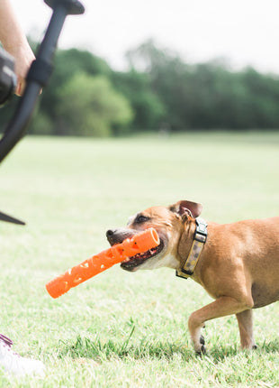 Chuckit! Air Fetch Stick