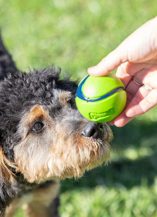Chuckit! Sniff Fetch Ball Bacon & Peanut Butter M 4-pack