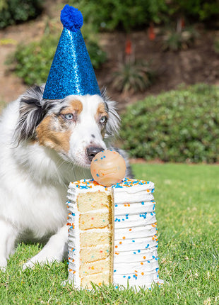 Chuckit! Birthday Fetch Ball M