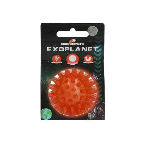 Dog Comets Exoplanet Egelbal Oranje