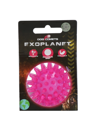 Dog Comets Exoplanet Egelbal Roze