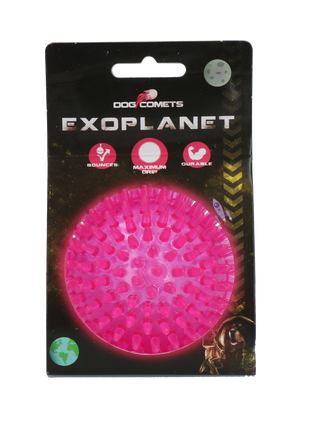 Dog Comets Exoplanet Egelbal Roze