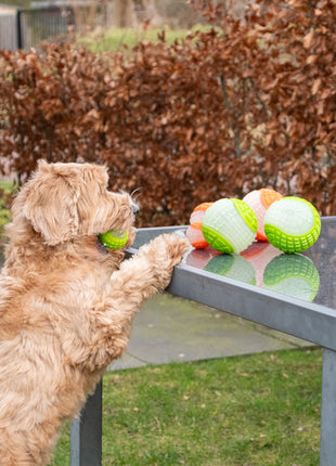 Dog Comets Glow In The Dark Moon Bal Roze