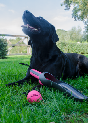 Dog Comets Star Launcher Roze