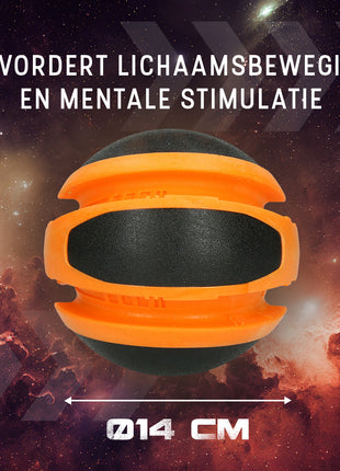 Dog Comets Planets Oranje