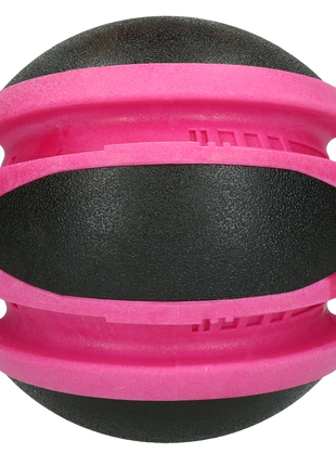 Dog Comets Planets Roze