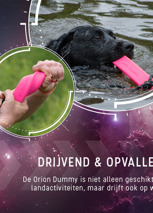 Dog Comets Orion Roze