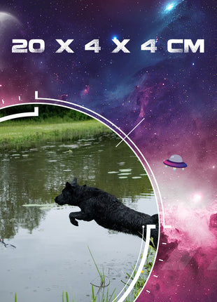 Dog Comets Orion Roze