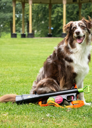 Dog Comets Comet Launcher