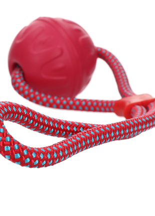 Dog Comets Vortex Loop Roze