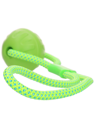 Dog Comets Vortex Loop Groen