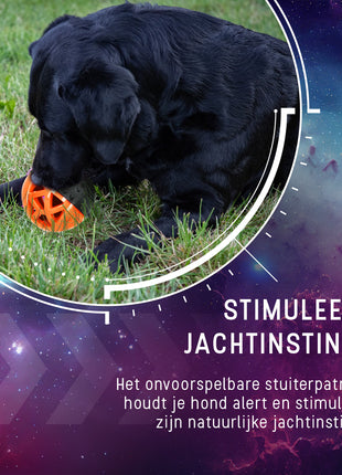 Dog Comets Moonstone Traktatiebal Oranje