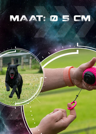 Dog Comets Blazar Jet Roze