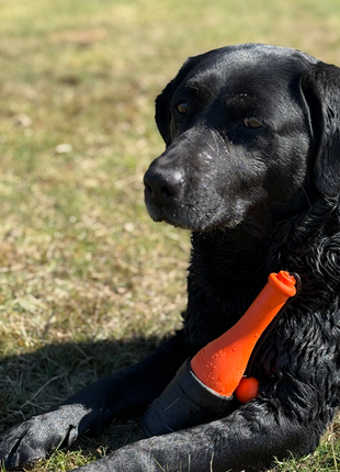 Dog Comets Bobber Oranje