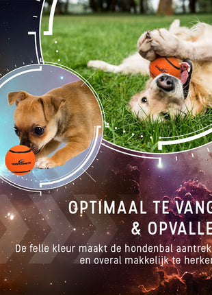 Dog Comets Tennisbal Starlight