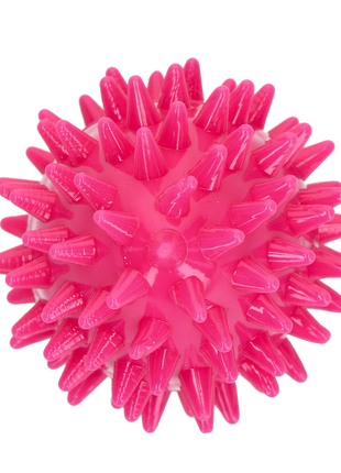 Dog Comets Cosmic Egg Roze S