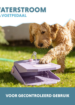 Coolpets Splash Water Fountain Lila