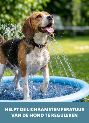 Coolpets Splash Sprinkler Pad