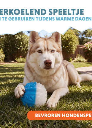 Coolpets Ice Ball