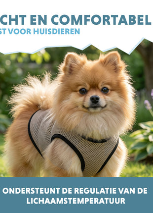 Coolpets Cooling Vest