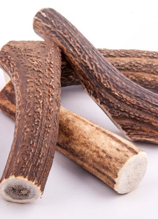 4DOGS Gryzak z poroża M hard