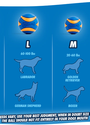 Chuckit! Ultra Squeaker Ball S (2-pack)