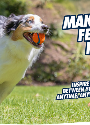 Chuckit! Fetch Ball S (2-pack)