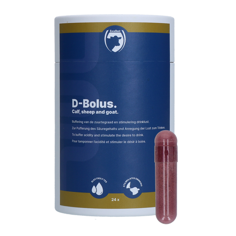 Excellent D-Bolus (Bicarbonaat)