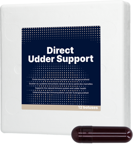 Direct Udder Support 12 x 60 g