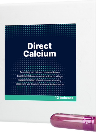 Direct Calcium 12 x 94 g