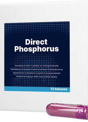Direct Phosphorus 12 x 123 g