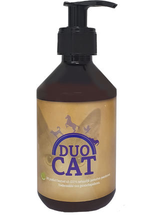 Duo Cat