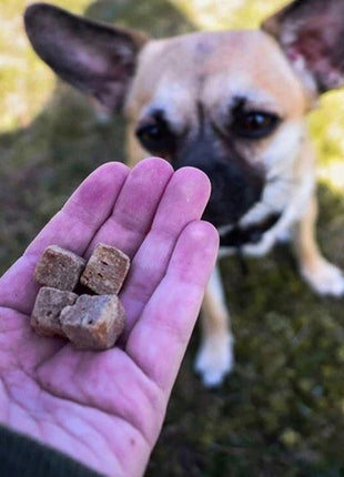 Kiwi Walker Przysmaki liofilizowane 100% kaczka 80g