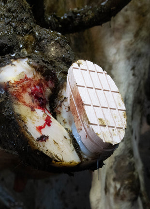Excellent Easy Hoof Block Hout